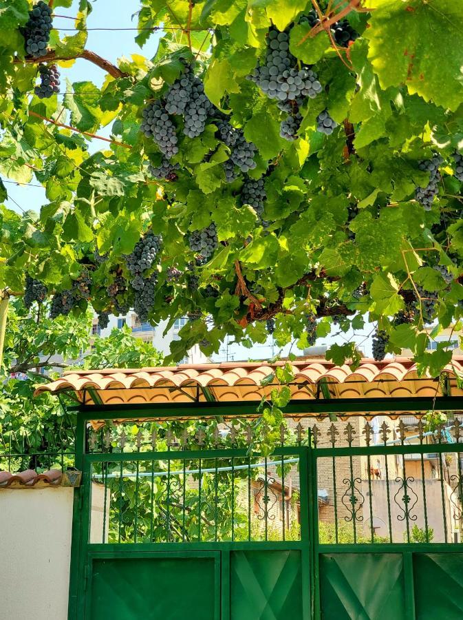 Unique Traditional House, Hosted By J&G Tirana Exteriér fotografie