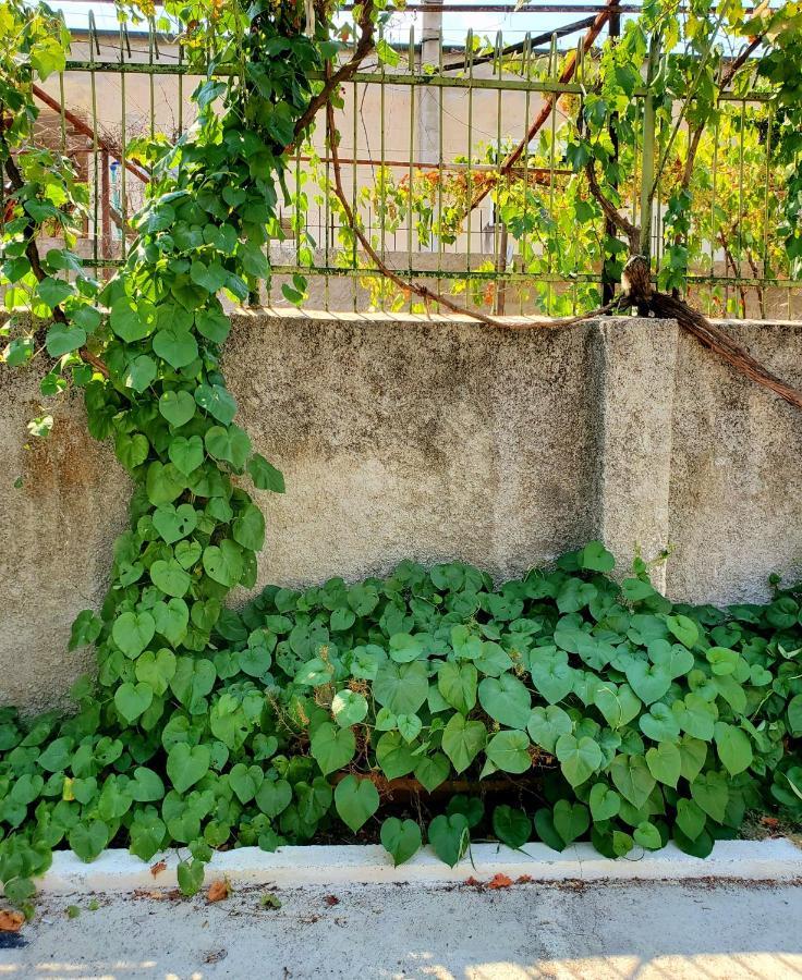 Unique Traditional House, Hosted By J&G Tirana Exteriér fotografie