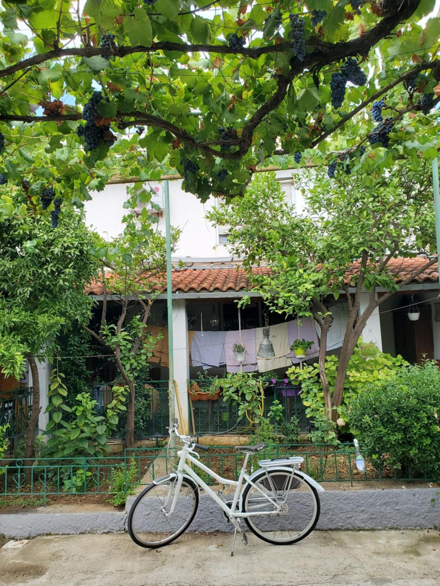Unique Traditional House, Hosted By J&G Tirana Exteriér fotografie